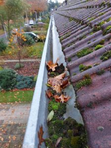 251579311_123687646735561_4512016574952398078_n